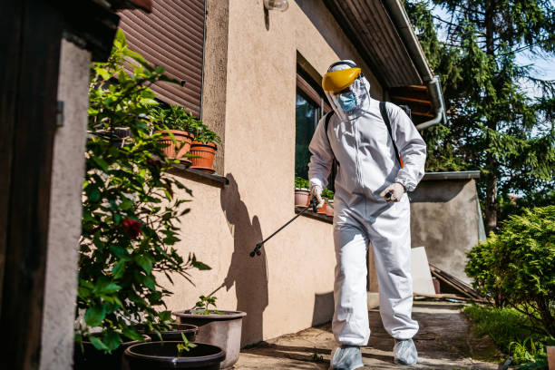 Best Best Pest Control Companies  in Idylwood, VA