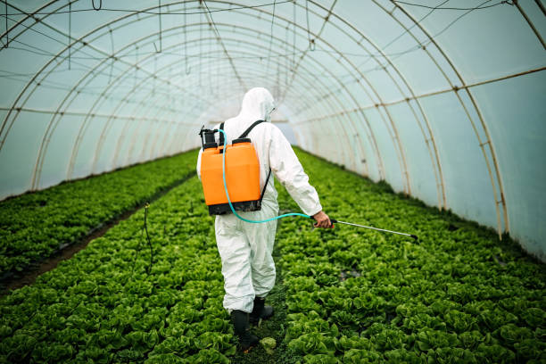 Best Pest Inspection Near Me  in Idylwood, VA