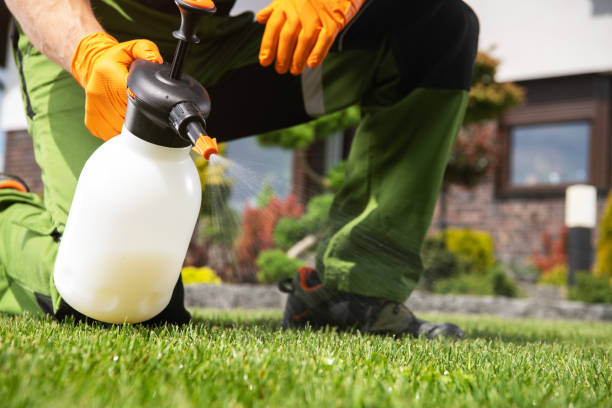 Best Bird Control  in Idylwood, VA