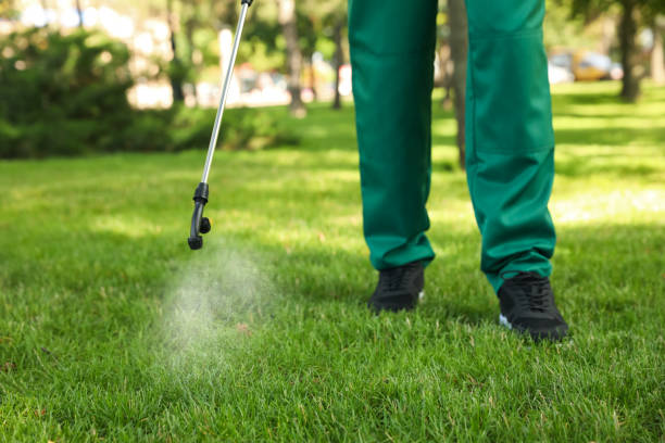 Best Best Pest Control Companies  in Idylwood, VA