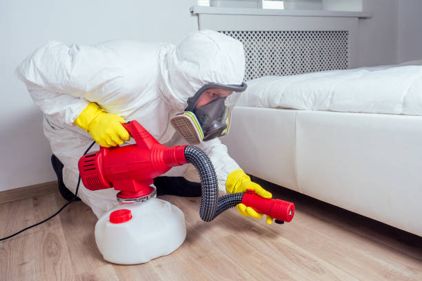 Best Pest Control Treatment  in Idylwood, VA