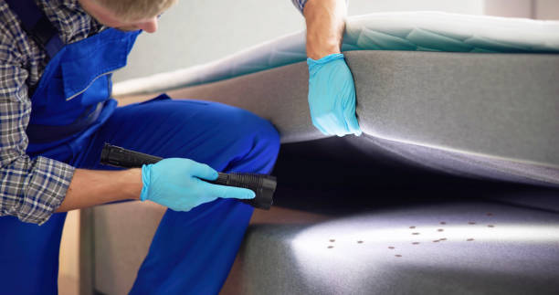 Best Local Pest Control Services  in Idylwood, VA