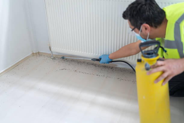 Best Pest Removal Services  in Idylwood, VA